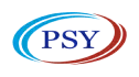 PSY Logo